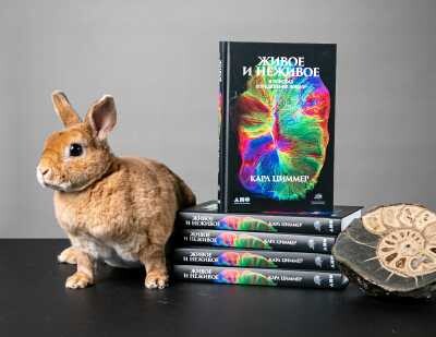26 июля пройдет дискуссия по книге Карла Циммера «Живое и неживое: В поисках определения жизни»