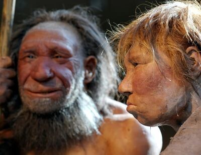Неандертальцы: история наших исчезнувших «кузенов»