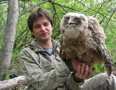 Заботливый родитель и ловкий охотник. Орнитолог Сергей Сурмач — о рыбном филине