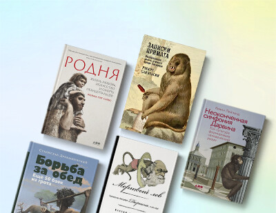 Протестую, Дарвин бессмертен: подборка книг о людях, обезьянах и эволюции