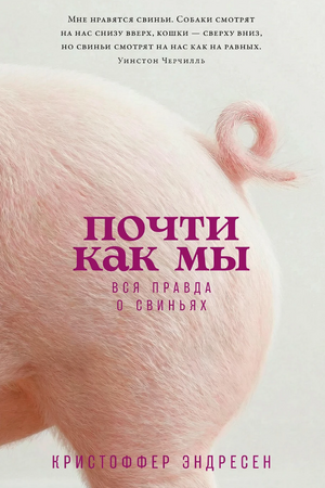 Почти как мы: Вся правда о свиньях
