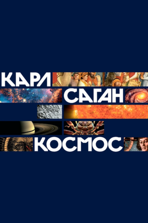 Космос. Подарочное издание